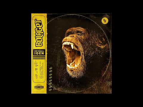 Bolaget - Ikväll Igen on Spotify Charts