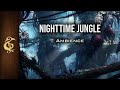 Jungle At Night Nature ASMR Ambience 1 Hour