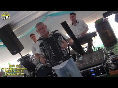 Muzicki Spomenar 3 - Neša Vla na svadbi u Starčevu