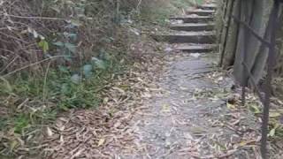 Moonspell - Shadow sun