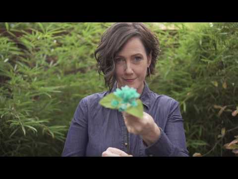 Lia Griffith Crepe Paper - Hydrangea Bloom