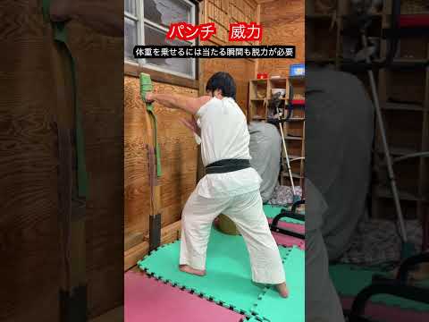 【武道・格闘技】脱力とインパクトの振り幅が威力になるは嘘！？　#aikido ＃karate #martial #武道 ＃#空手＃合気道＃筋トレ#selfdefens＃刃牙