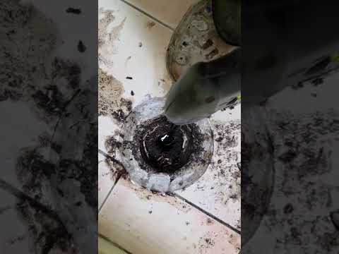 Blocked Sewer and Tree Root Removal in Deception Bay