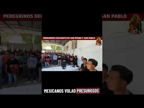 juramento peregrino peregrinos del Decanato de San Pedro y San Pablo