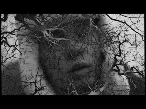 benakanister (feat. MARMORMAZE) - Valge Jänes