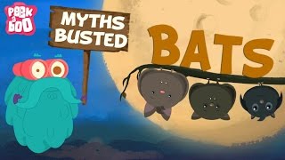 Bats – Myths Busted | The Dr. Binocs Show | Learn Videos For Kids