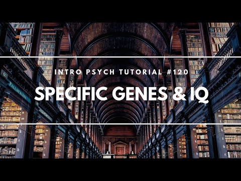 What is Intelligence Intro Psych Tutorial 112
