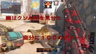 【BO3 Part3】新企画！KN-44俺的最強カスタマイズ！