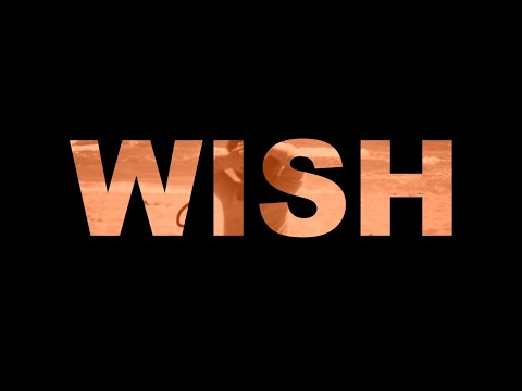 9. WISH - Zalvy Westcott ft. D3BY | ZALDARRIA (Video Lyric)