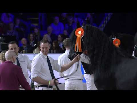 HK 2026 | Winnaars Rubriek 8 | 17 Januari 2026