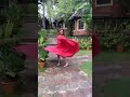 Rashmi Desai Hot Dance Rashmi Desai Dance Rashmi Desai Rashmi Desai Dance Video Rashmidesai