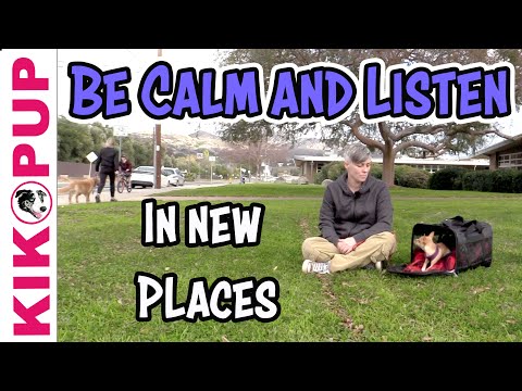 STOP UNWANTED behaviors with BACK UP