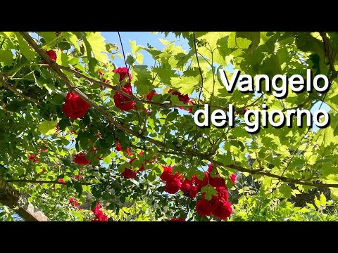 VANGELO DEL GIORNO : MARTEDI' 27 GIUGNO 2023