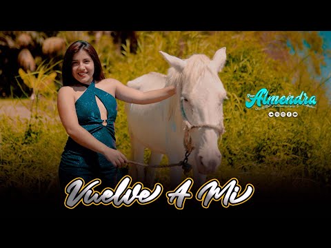 VUELVE A MI -  GRUPO ALMENDRA (Video Oficial)