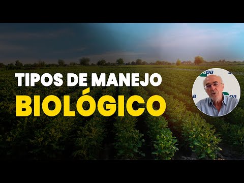 Controle Natural de Pragas: Tudo Sobre o Manejo Biológico no Campo