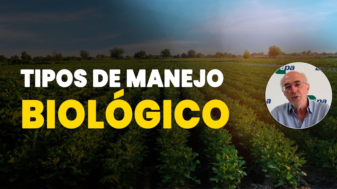 CONHEÇA OS DIFERENTES TIPOS DE MANEJO BIOLÓGICO NA AGRICULTURA