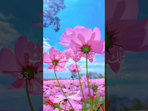 Surja Merjem, ajetet 61-65🎙#Abdurrahmanmossad