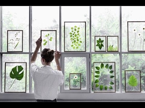 Part of a video titled DIY: Pressed & Framed Wedding Plants - YouTube