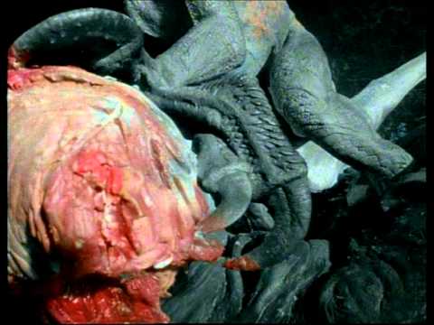 Paleoworld- Killer Raptors