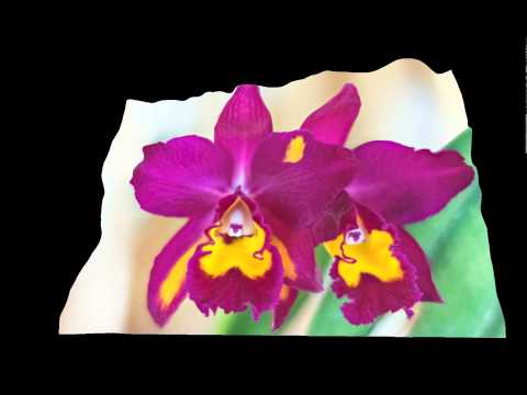 Video 2015 04 19 12 06 30