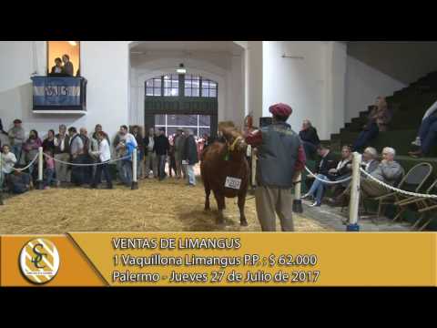 27-07-17 Venta de Vaquillonas Limangus - Palermo