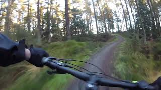 Craigieburn Wood MTB Trail, Falkirk