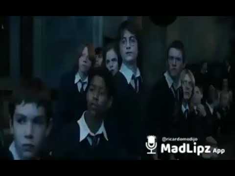 Morirás de risa jajaja Harry te van a quitar la beca