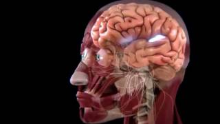 The Atlantic Trash Vortex - Newton, Einstein, Hawking & You