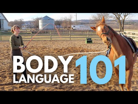 Equine Helper &mdash; How Horses Read Human Body Language
