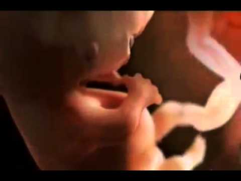 download lagu mp3 mp4 Miracle Life, download lagu Miracle Life gratis, unduh video klip Miracle Life