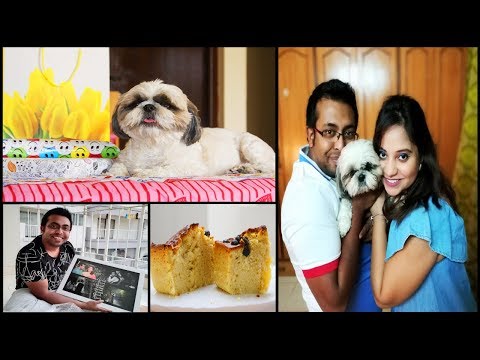 Birthday Celebration Vlog | Happy Birthday To Him | Indian Petmom | MommyNFlurry Tale Video
