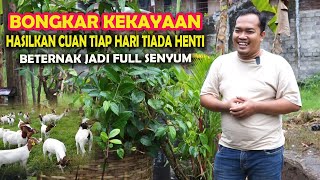 Download lagu PELUANG BISNIS INTEGRATED FARMING,HASILKAN CUAN TIAP HARI TIADA HENTI mp3 Download lagu PELUANG BISNIS INTEGRATED FARMING,HASILKAN CUAN TIAP HARI TIADA HENTI mp3
