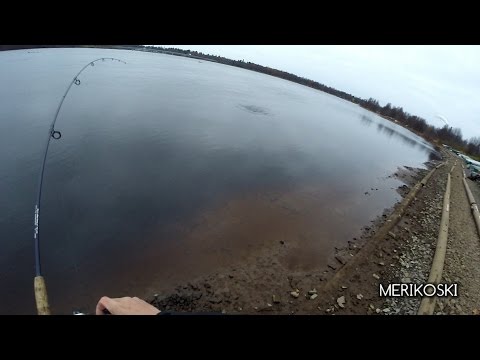 MERIKOSKI Oulujoki - Taimenen Sössintä ( Merikoski Syyskalastus - Lohenkalastus -Taimenenkalastus )