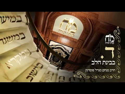 מ"ח קנייני תורה - ד