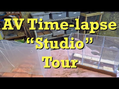 Sneak peek into the "AV time-lapse creation studio" - worm farm vermicomposting