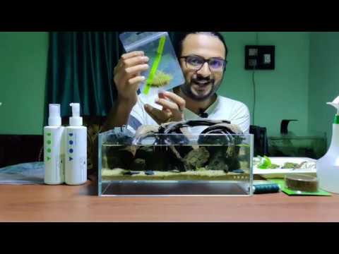 DOOA Neo Glass Air, Part-II, Planting | Nano Aquarium | Nature Aquarium | Planted Aquarium