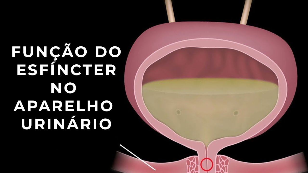 Danilo Galante Moreno-41