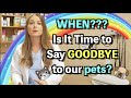 Signs It S Time To Say Goodbye Understanding Your Pet S Quality Of Life Euthanasia Explained