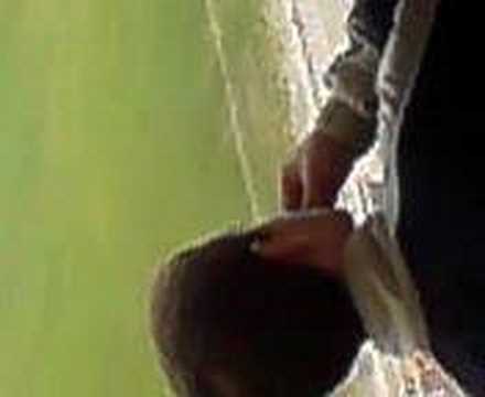 penalot so cementarnica 55