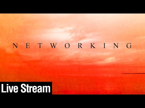 How To Get Hired and Find Opportunities Through Networking - For Introverts (with former CEO)