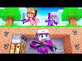 I Secretly Used GUNS in a Minecraft Speedrun