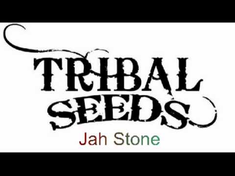 Tribal Seeds - Jah Stone