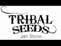 Tribal Seeds - Jah Stone 