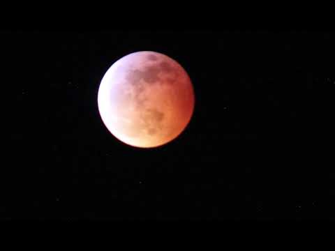 Super Blood Wolf Moon Time-Lapse