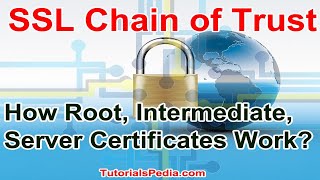 SSL Chain of Trust | How SSL Chain Works | Root Cert, Intermediate Certificate, Server Certificate