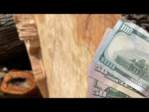 Why are Lumber prices so high? I will explain why!