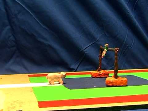 Olympiade der Tiere