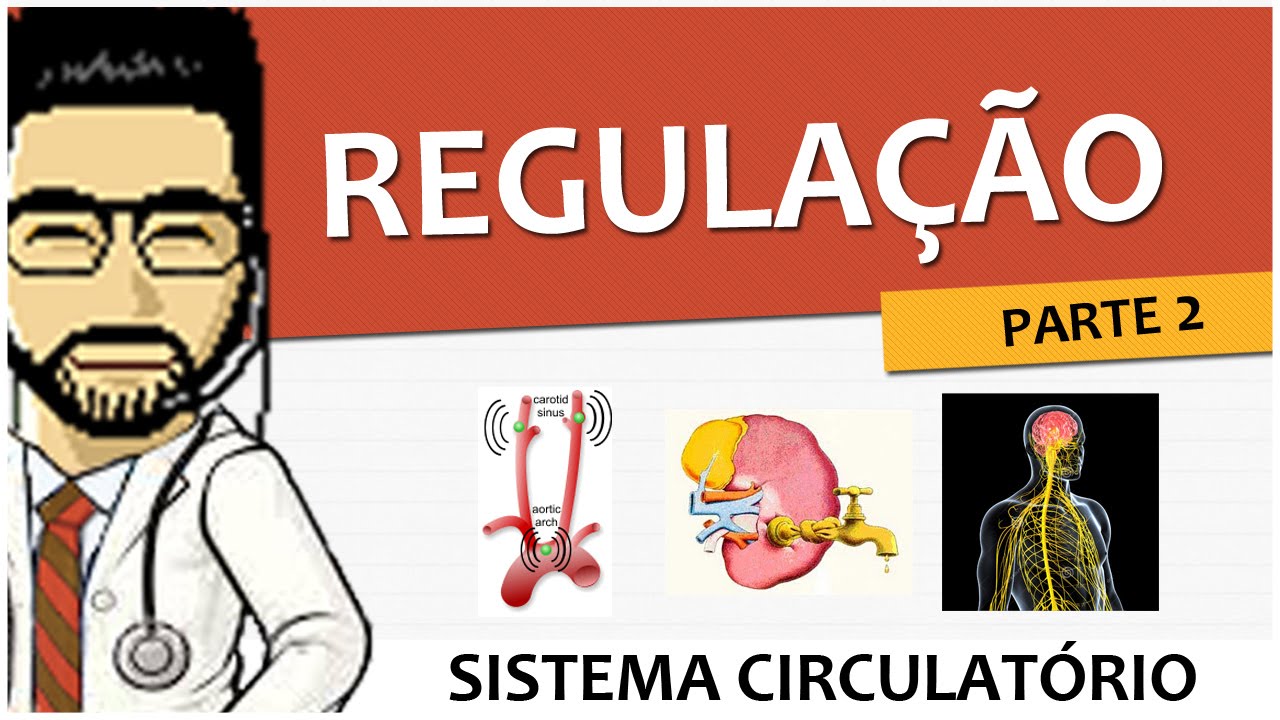 Sistema Circulatório 07 - Regulação - Parte 2 (Vídeo Aula)