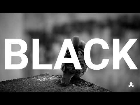 Lorenzo al Dino - Black