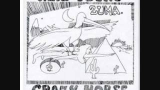 Neil Young & Crazy Horse - Danger Bird